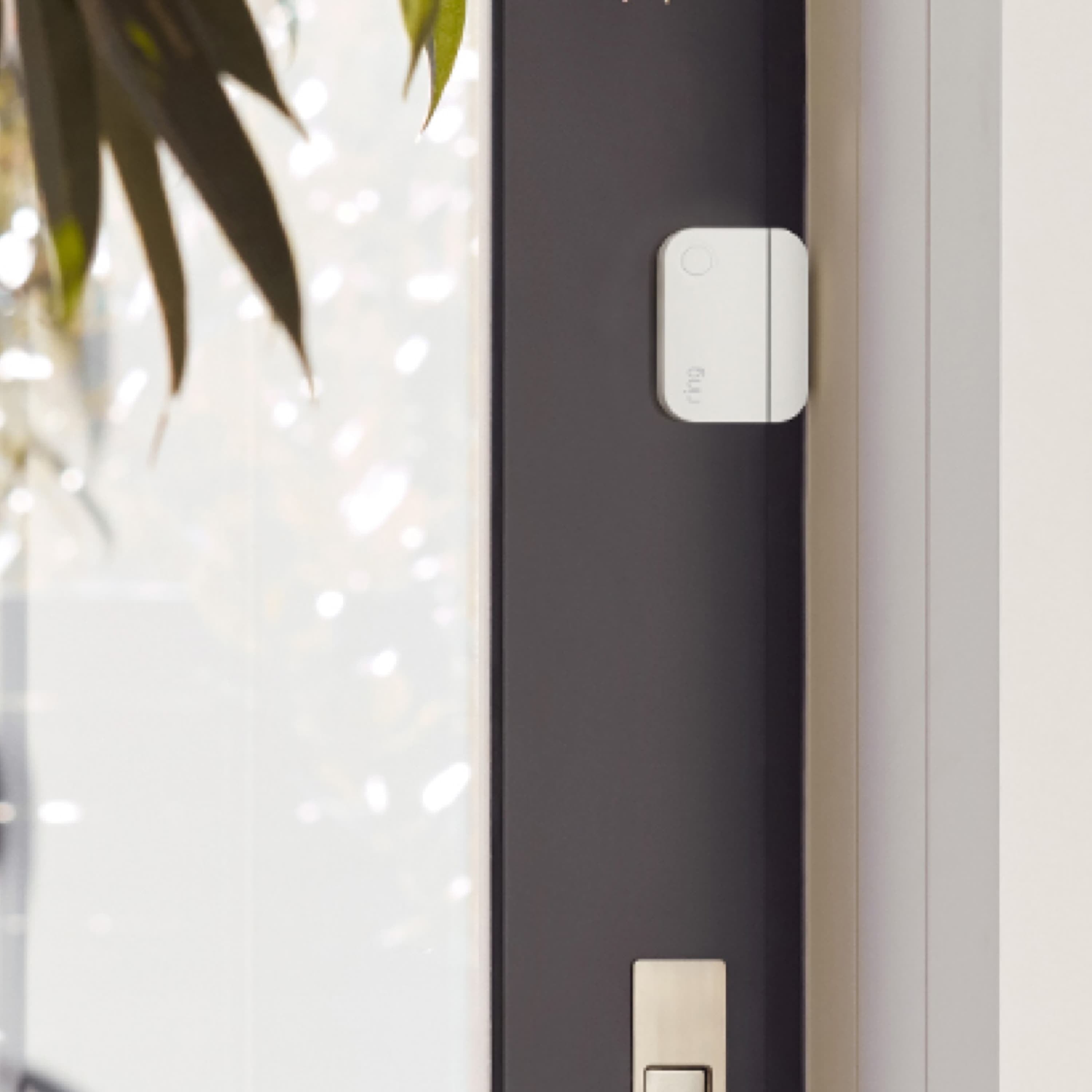 Ring Alarm Contact Sensor - 2nd Generation (New)