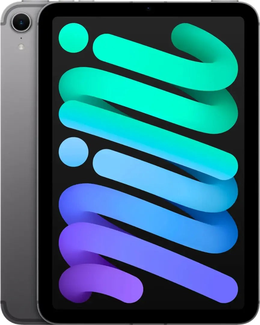 Apple iPad Mini (7th Gen) 256GB (Wifi + Unlocked LTE) - Space Gray (Pre-Owned)