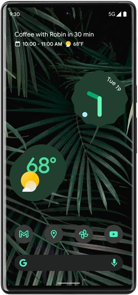 Google Pixel 6 Pro 5G 256GB (Unlocked) - Stormy Black (Certified Refurbished)