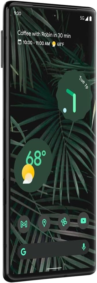 Google Pixel 6 Pro 5G 256GB (Unlocked) - Stormy Black (Certified Refurbished)