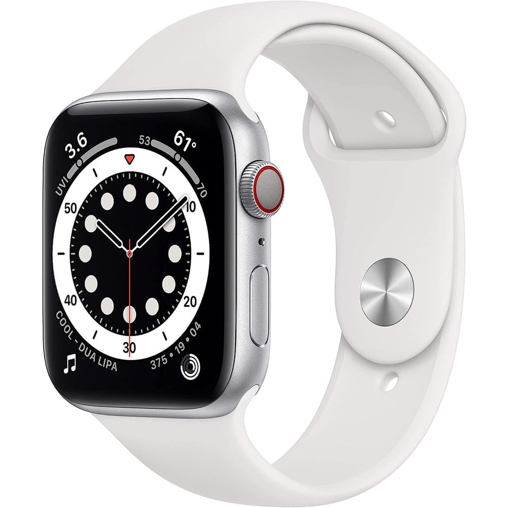 Apple Watch Series 6 (GPS + LTE) 40MM Silver Titanium Case White Sport Band (Used)