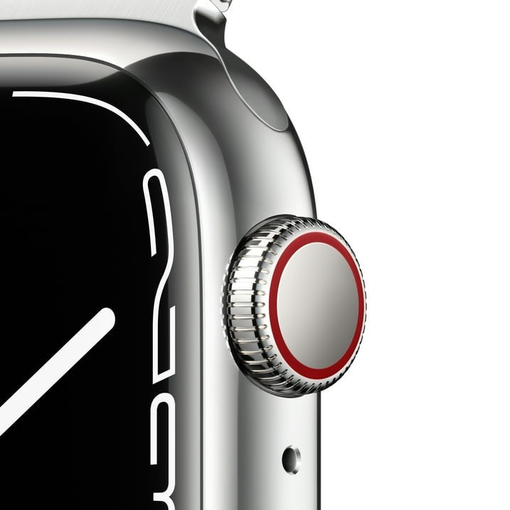 Apple Watch Series 7 GPS + LTE 41MM Stainless Steel Case &amp; Silver Milanese Loop (Used)