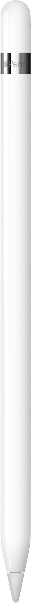 Apple Pencil (1st Generation) with USB-C to Pencil Adapter - White (New)