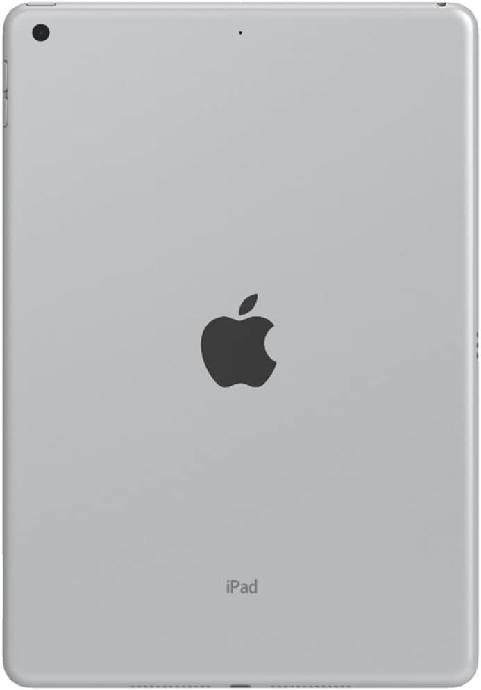 Apple iPad 9th Gen, 10.2-inch, 256GB, WIFI + Unlocked All Carriers - Silver (Renewed)