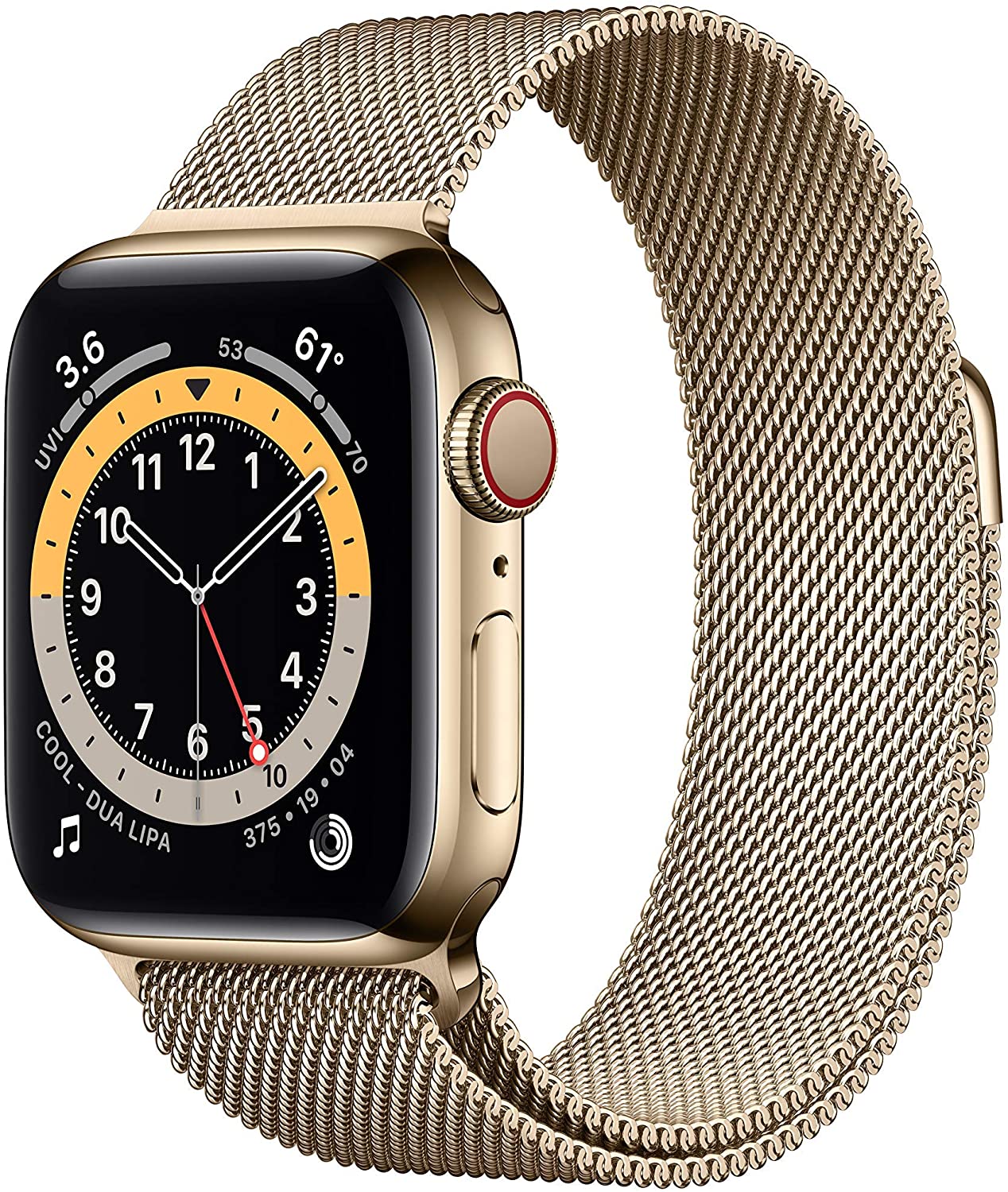 Apple Watch Series 6 (2020) 40mm GPS + Cellular - Gold Stainless Steel Case &amp; Milanese Band (Pre-Owned)