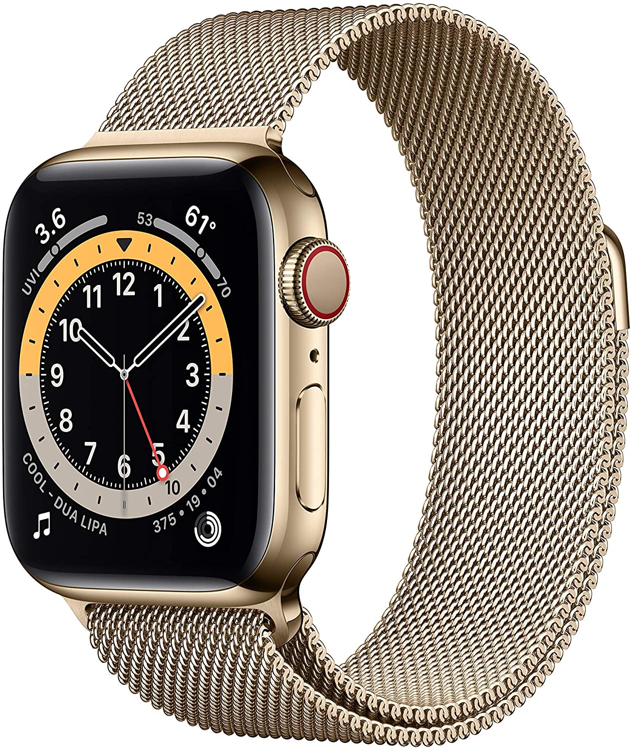 Apple Watch Series 6 (GPS + LTE) 40mm Gold Stainless Steel Case & Gold Milanese Loop (Certified Refurbished)